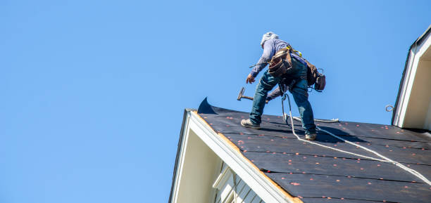 Best Roof Gutter Cleaning  in Houston, TX